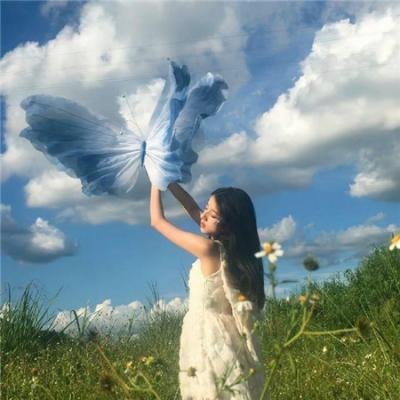 真情不诋樱花落